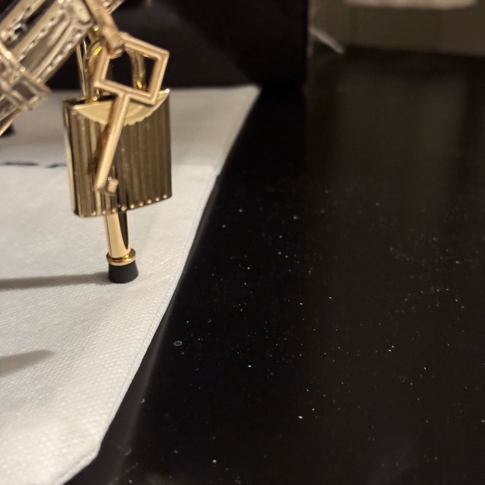 ⭐️NEW Tom ford Luxury inspiration
dust bag only - Picture 14 of 15